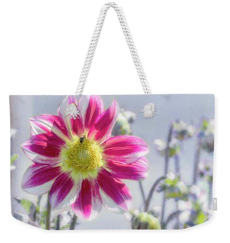 Dahlia Weekender Tote Bag featuring the photograph Delicious Dahlia by Belinda Greb