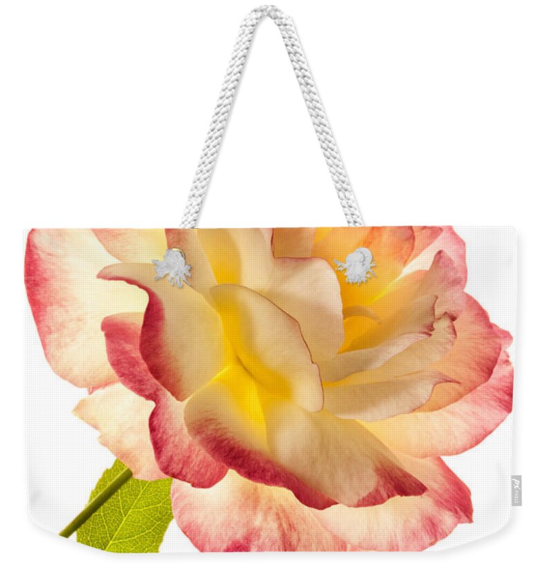 Rose Weekender Tote Bag featuring the photograph Delight by Patty Colabuono
