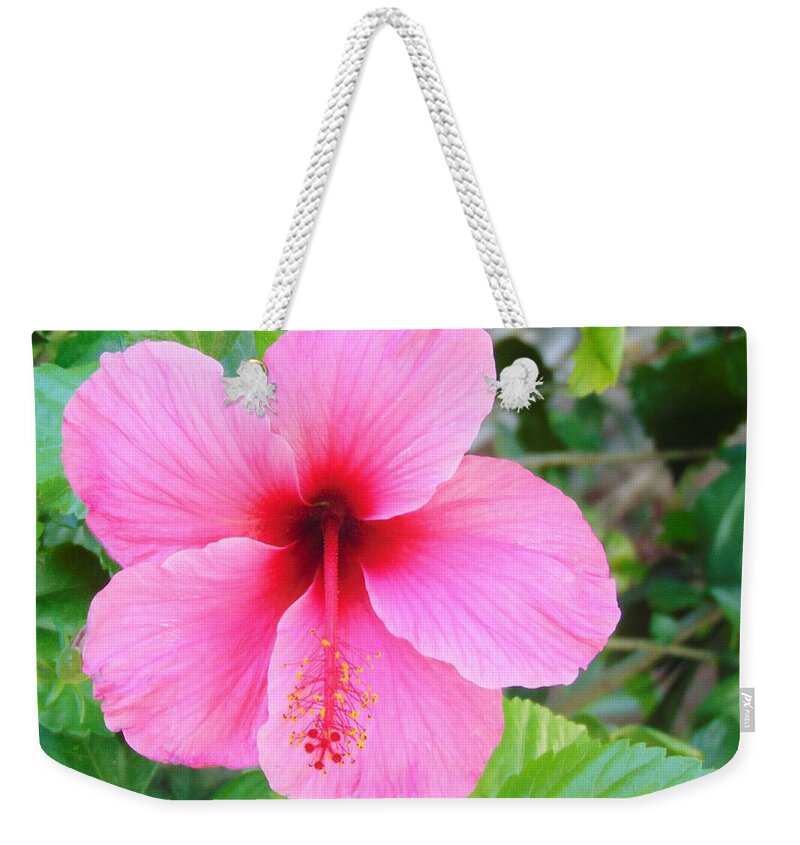 Pink Flower Weekender Tote Bag featuring the photograph Delightful by Chanler Simmons
