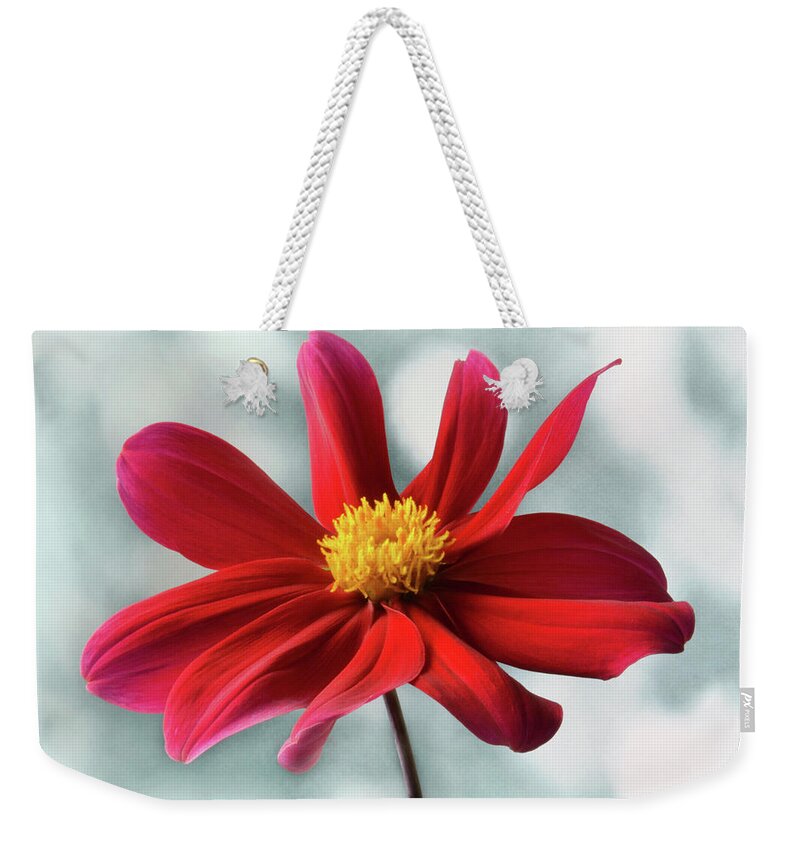 Dahlia Weekender Tote Bag featuring the photograph Delightful Dahlia by Terence Davis
