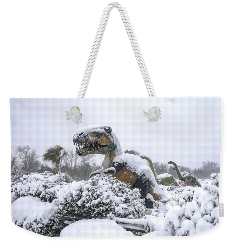 Photosbymch Weekender Tote Bag featuring the photograph Demise of the dinosaurs by M C Hood