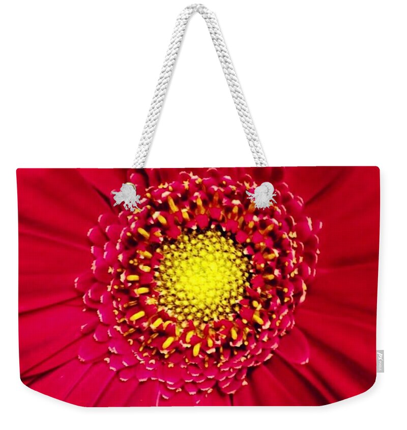 Flower Weekender Tote Bag featuring the photograph Depth by Denise Railey