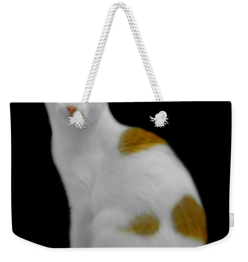 Derby Weekender Tote Bag featuring the photograph Derby the Cat by Diana Angstadt