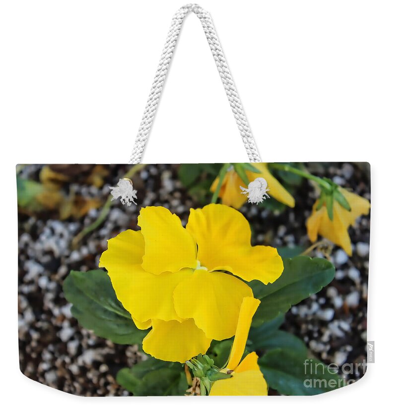 Macro Weekender Tote Bag featuring the photograph Floral Desert Beauty by Roberta Byram