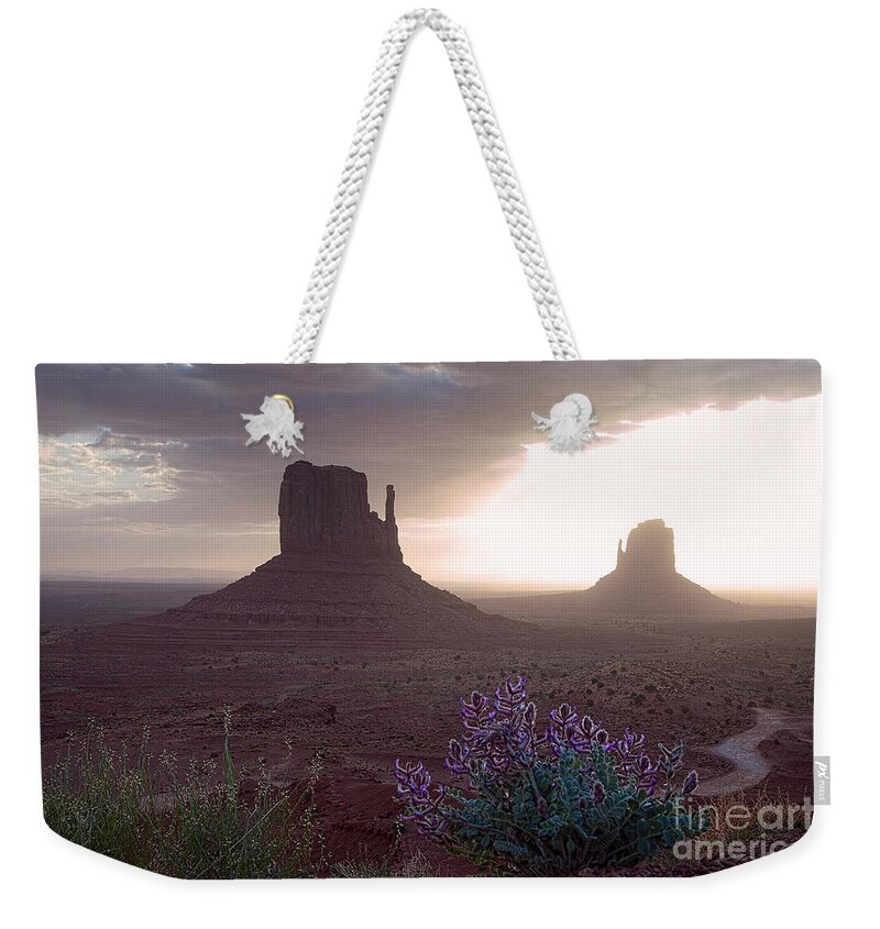Red Rocks Weekender Tote Bag featuring the photograph Desert Blooms by Jim Garrison