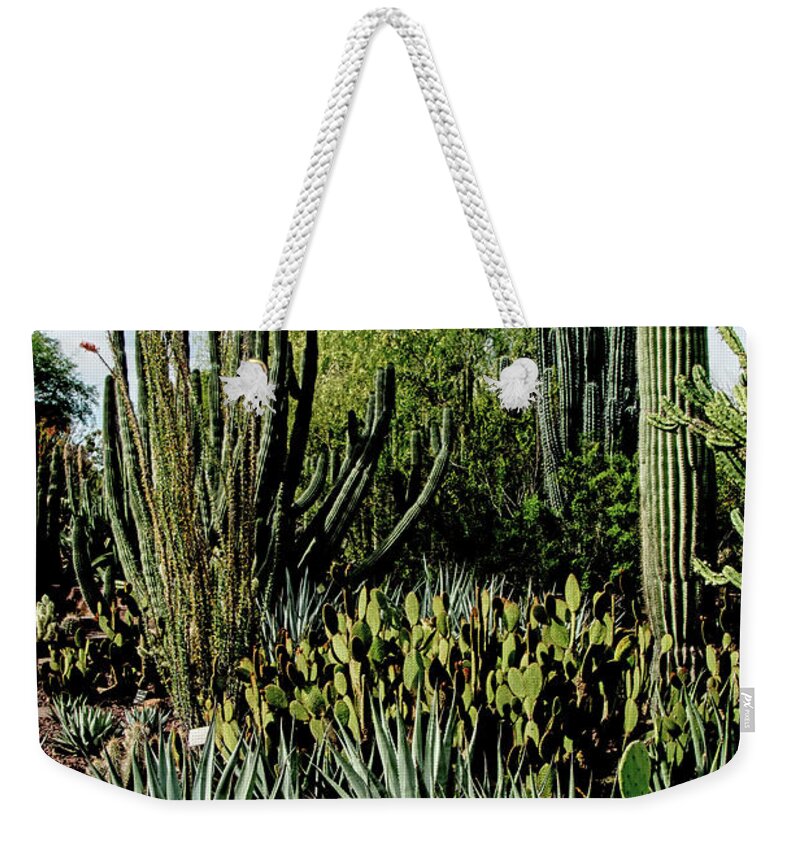 Desert Weekender Tote Bag featuring the photograph Desert Botanical Garden by Tam Ryan