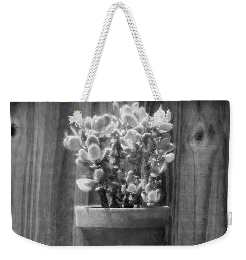 Cactus Weekender Tote Bag featuring the photograph Desert Cactus and Succulents 088 by Rich Franco