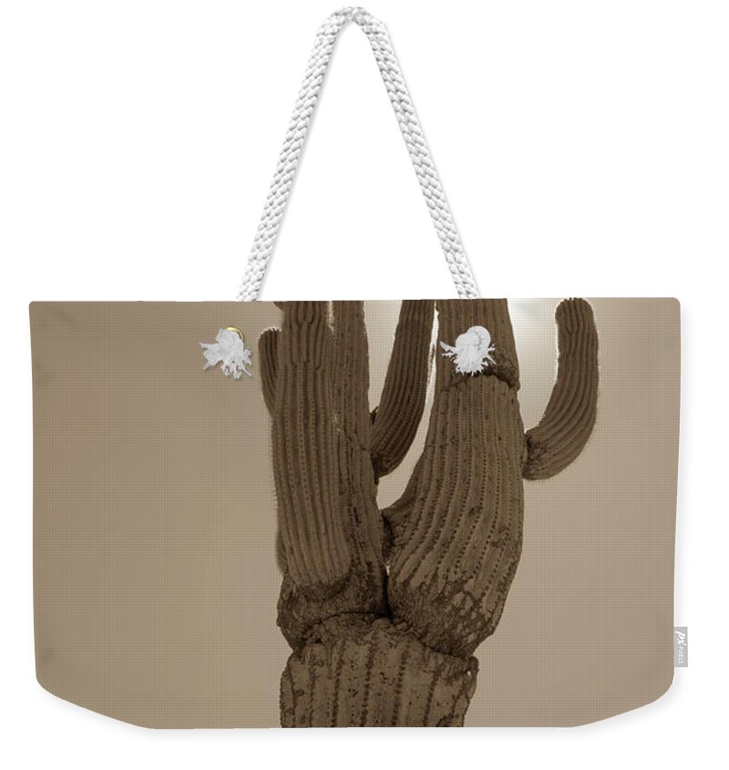 Desert Weekender Tote Bag featuring the photograph Desert cactus by Darrell Foster