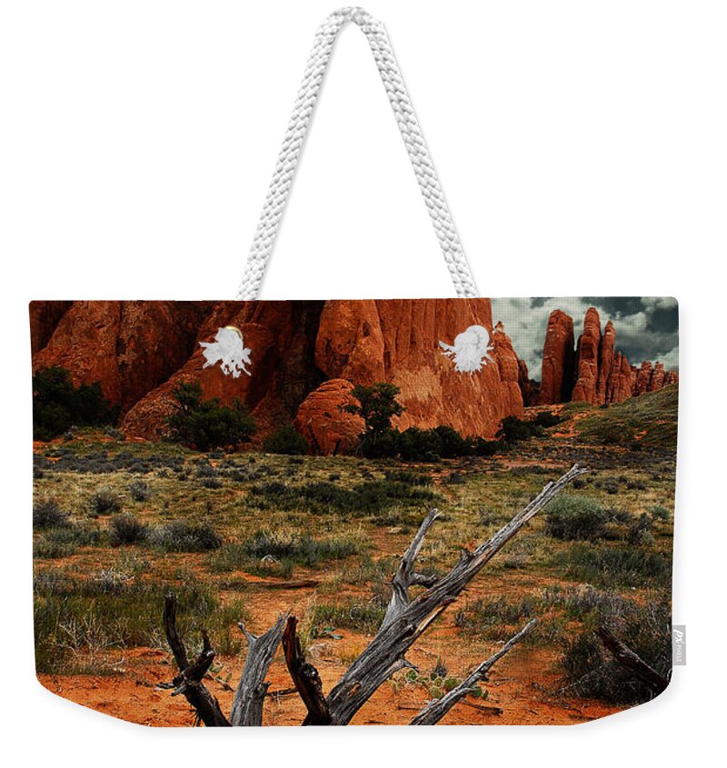 Arches National Park Weekender Tote Bag featuring the photograph Desert Floor by Harry Spitz