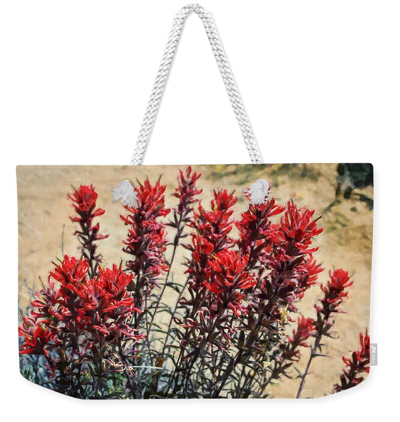 Paintbrush Weekender Tote Bag featuring the digital art Desert Flower Impressions Two - Paintbrush by Glenn McCarthy Art and Photography
