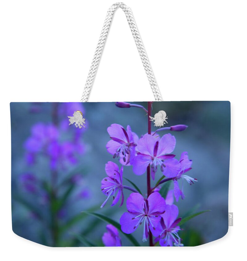 Flowers Weekender Tote Bag featuring the photograph Desert Flowers #2 by David Chasey