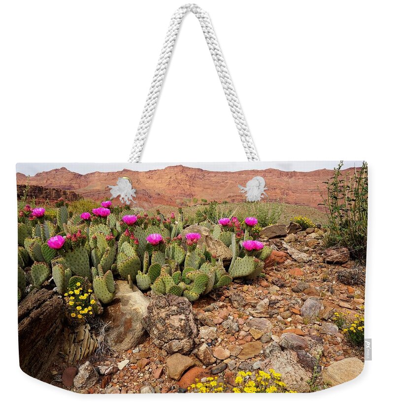 Vermillion Weekender Tote Bag featuring the photograph Desert Cactus in Bloom by Tranquil Light Photography