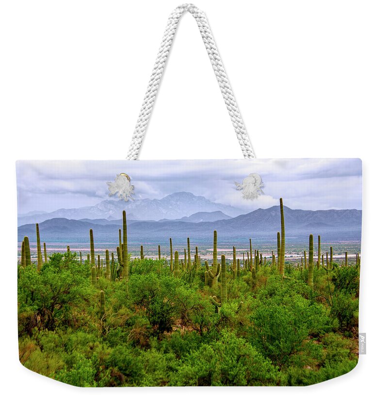 Desert Weekender Tote Bag featuring the photograph Desert Green by Barbara Manis