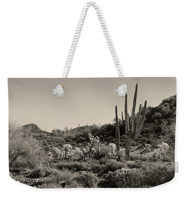 Arizona Weekender Tote Bag featuring the photograph Desert Morning by Gordon Beck