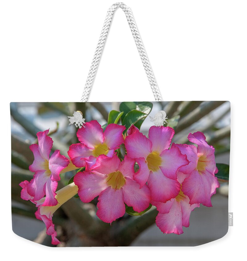 Scenic Weekender Tote Bag featuring the photograph Desert Rose or Chuanchom DTHB2105 by Gerry Gantt