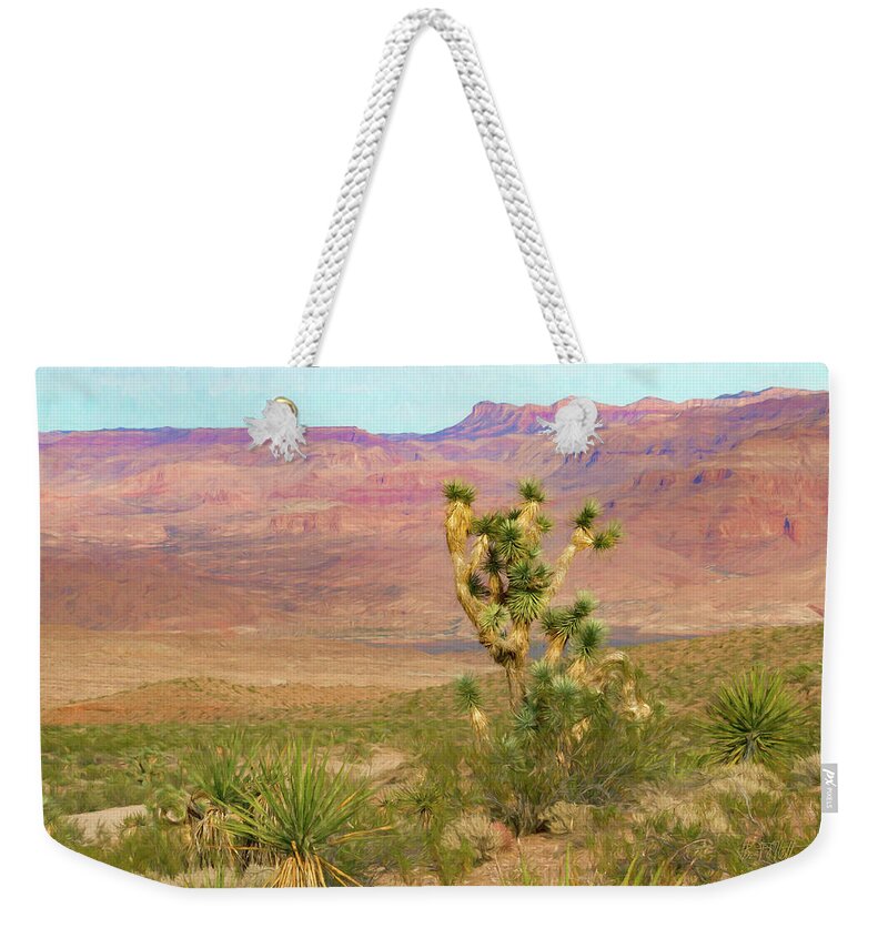 Desert Scene Near Grand Canyon West Weekender Tote Bag featuring the photograph Desert Scene Near Grand Canyon West by Bonnie Follett