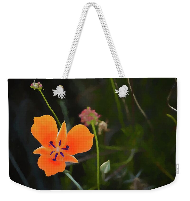 Desert Weekender Tote Bag featuring the photograph Desert Wildflower 2 by Penny Lisowski