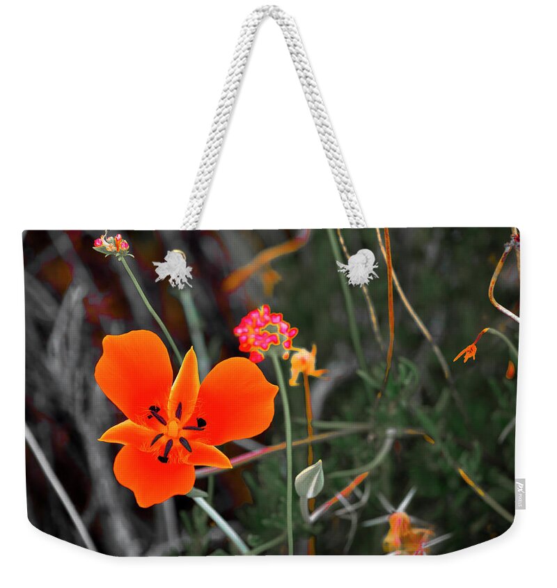Flowers Weekender Tote Bag featuring the photograph Desert Wildflowers by Penny Lisowski