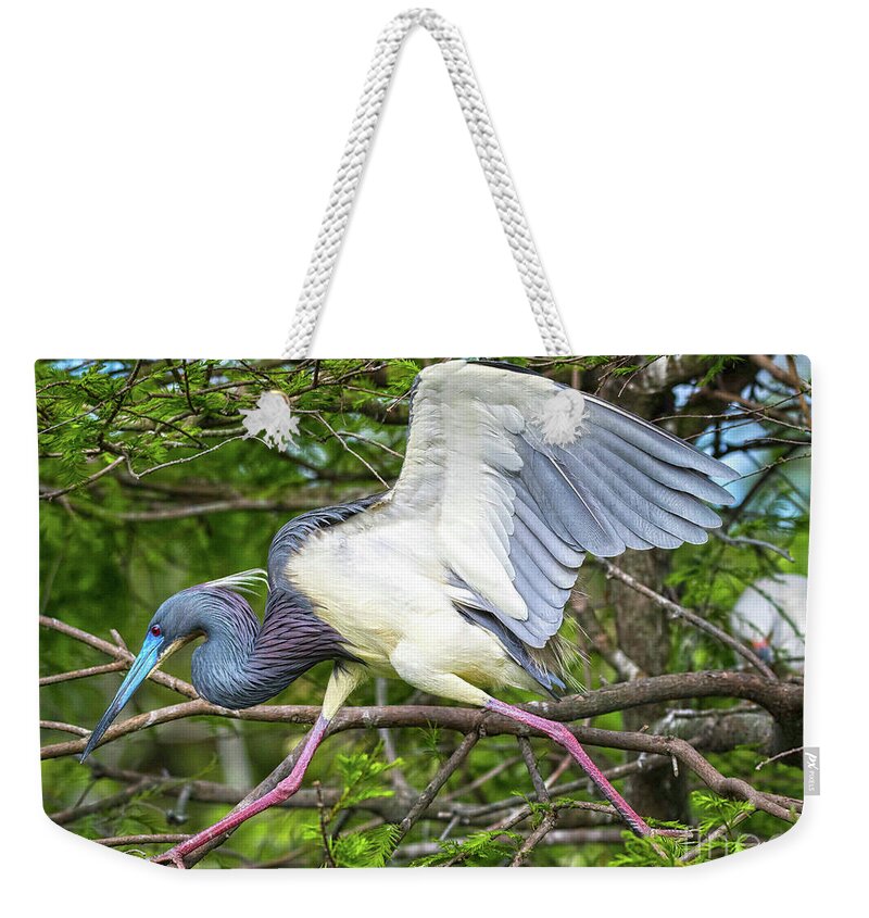Herons Weekender Tote Bag featuring the photograph Determination by DB Hayes