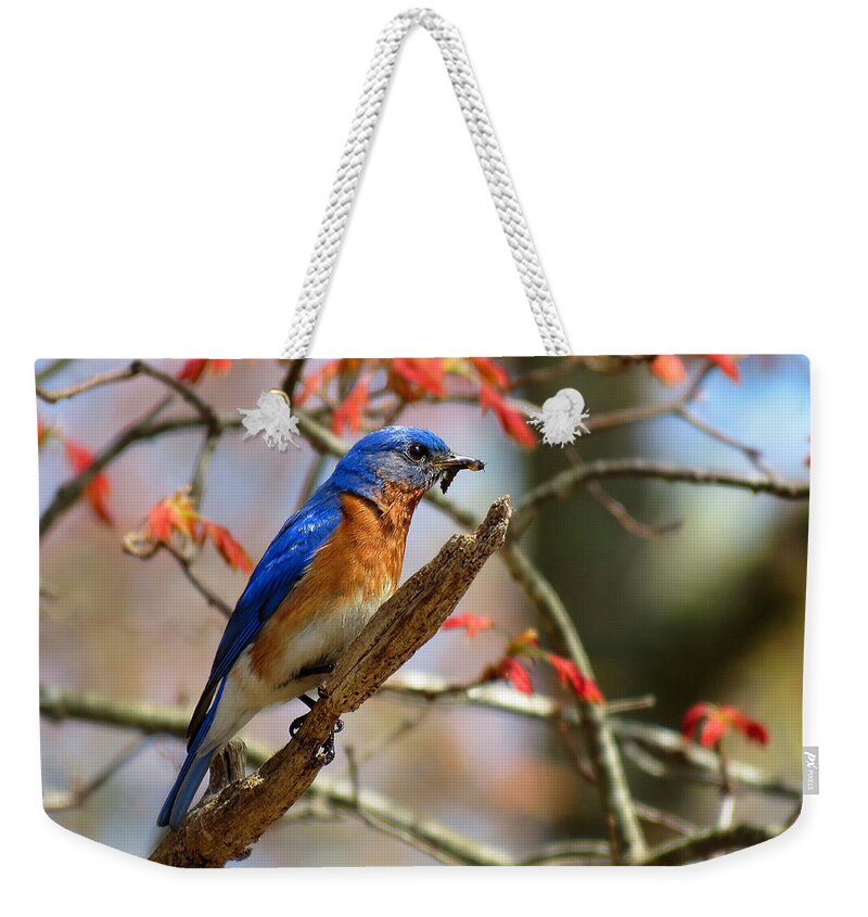 Bluebird Weekender Tote Bag featuring the photograph Devotion by Dianne Cowen Cape Cod Photography