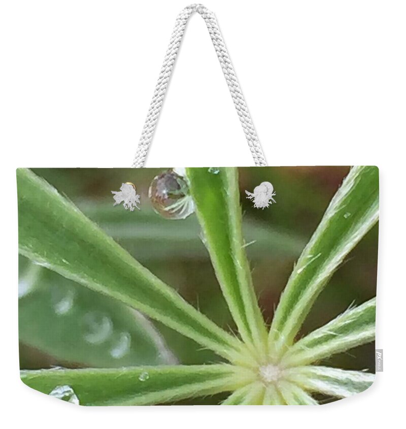 Dew Weekender Tote Bag featuring the photograph Dew Drops by Vonda Drees