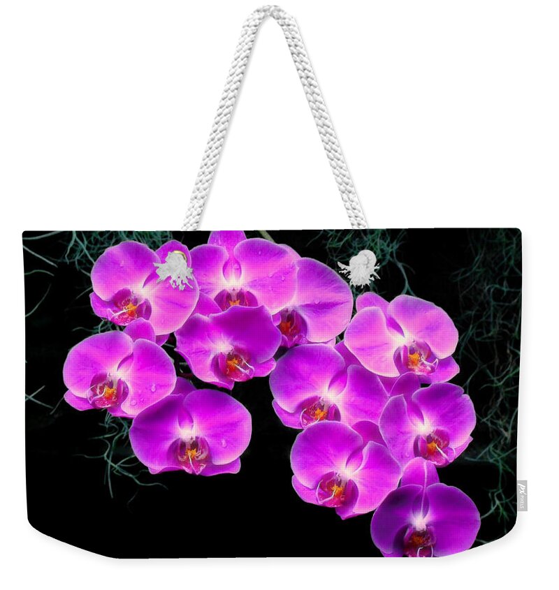 Orchid Weekender Tote Bag featuring the photograph Dew-Kissed Orchids by Sue Melvin