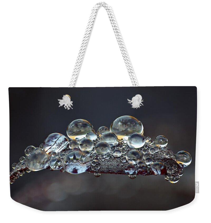 Jogchum Reitsma Weekender Tote Bag featuring the photograph Landcape Captured in Dew on Smoketree Leaf by Jogchum Reitsma