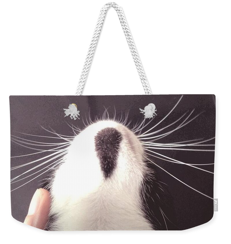 Chin Weekender Tote Bag featuring the photograph Dewdrop to GATchee's Chin by Sukalya Chearanantana