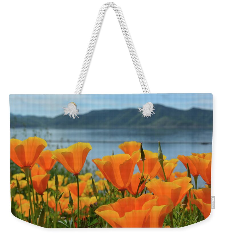 California Weekender Tote Bag featuring the photograph Diamond Valley Lake Poppy Panorama by Kyle Hanson