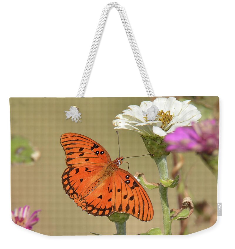 Insect Weekender Tote Bag featuring the photograph Diana Butterfly by Alan Lenk