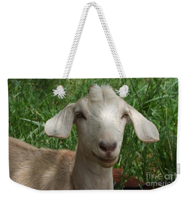 White Weekender Tote Bag featuring the photograph Did You Bring Lunch by Mary Deal