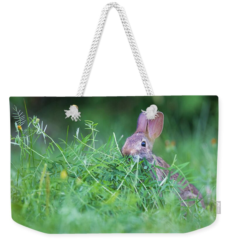 Eastern Weekender Tote Bag featuring the photograph Diner time by Mircea Costina Photography