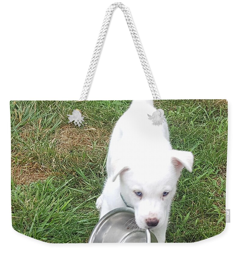 Dog Weekender Tote Bag featuring the photograph Dinner Time by Barbara McDevitt