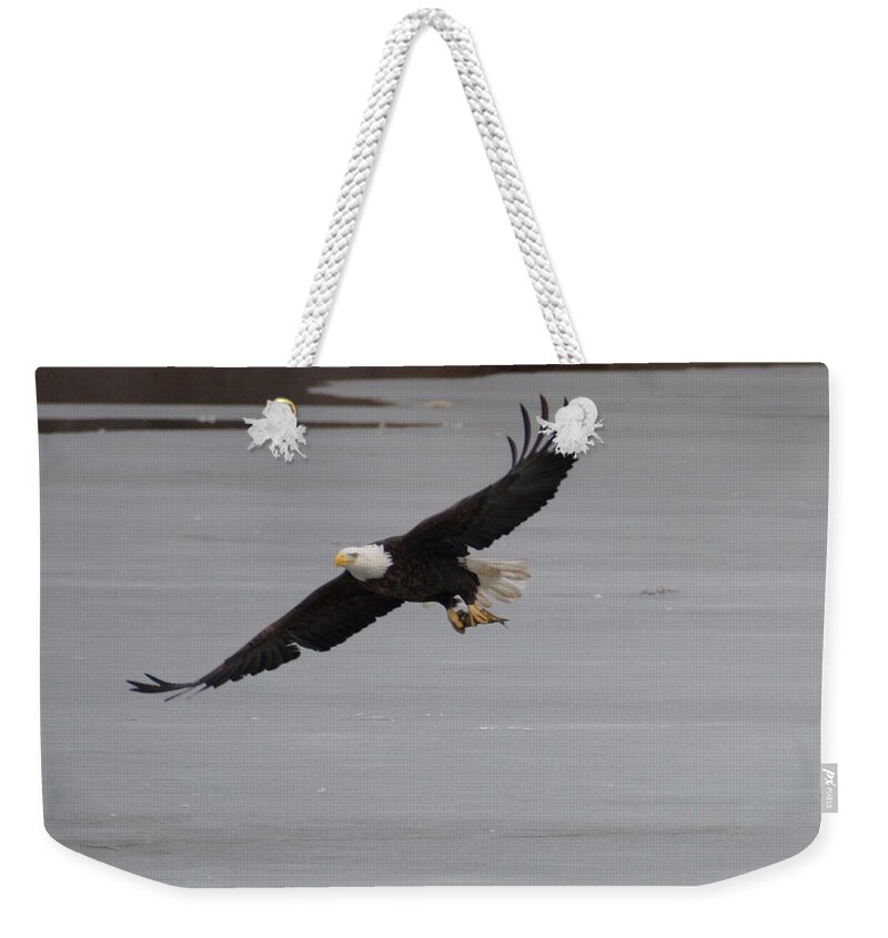 Flight Weekender Tote Bag featuring the photograph Dinnertime by Beth Collins