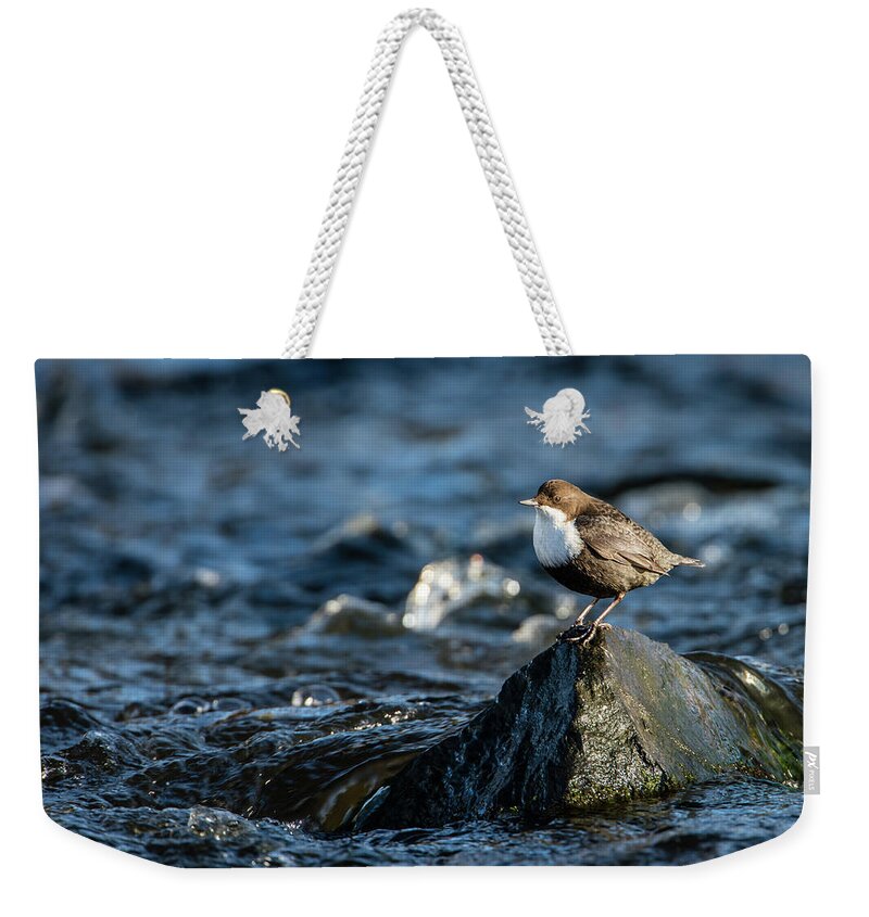 Dipper On The Rock Weekender Tote Bag featuring the photograph Dipper on the rock by Torbjorn Swenelius