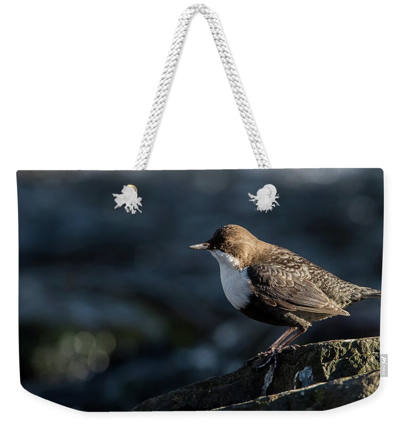 Dipper Weekender Tote Bag featuring the photograph Dipper by Torbjorn Swenelius