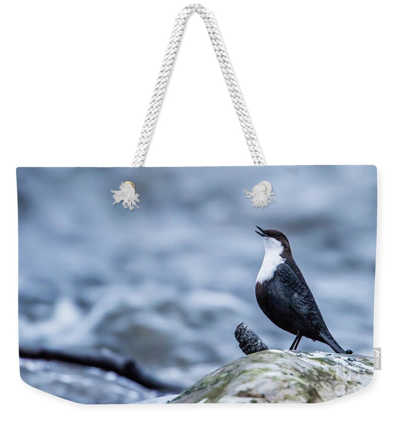 Dipper's Call Weekender Tote Bag featuring the photograph Dipper's Call by Torbjorn Swenelius