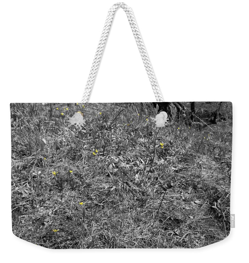 Color Desaturation Weekender Tote Bag featuring the photograph Distant Kin by Dylan Punke
