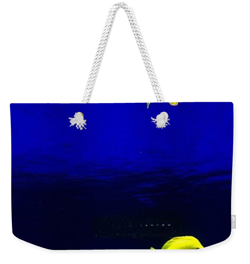 Fish Weekender Tote Bag featuring the photograph Distortion by Denise Railey