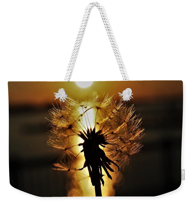 Sunset Weekender Tote Bag featuring the photograph Dandelion Sunset by Jerry Connally