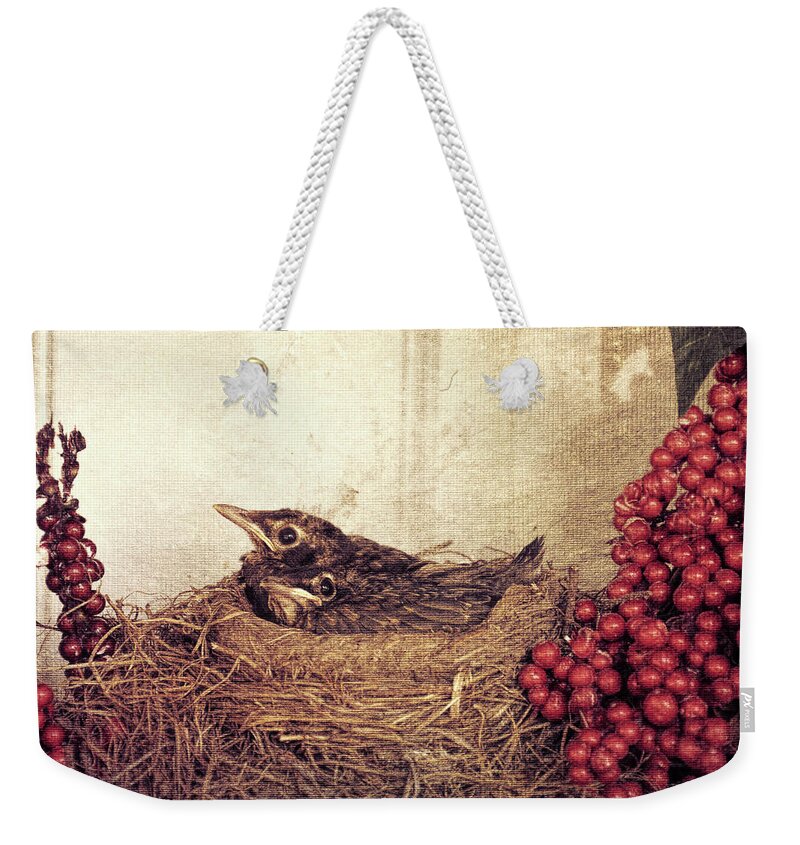 Robins Weekender Tote Bag featuring the photograph Do Not Disturb by Jim Cook