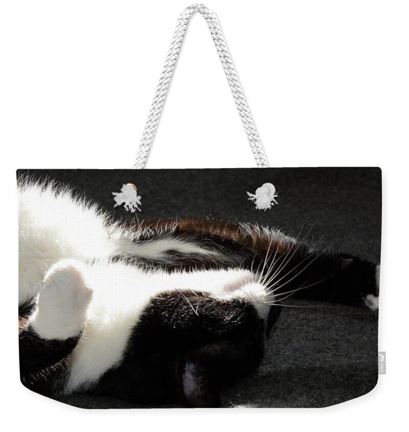 Cat Weekender Tote Bag featuring the photograph Do Not Disturbe by Paul W Faust - Impressions of Light
