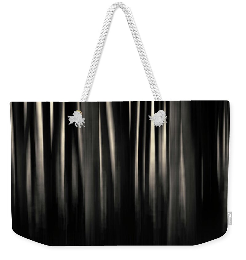 Dock Weekender Tote Bag featuring the photograph Dock and Reflection II Toned by David Gordon