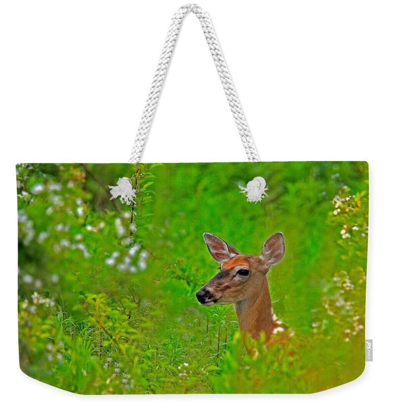 Deer Weekender Tote Bag featuring the photograph Doe in Springtime by William Jobes