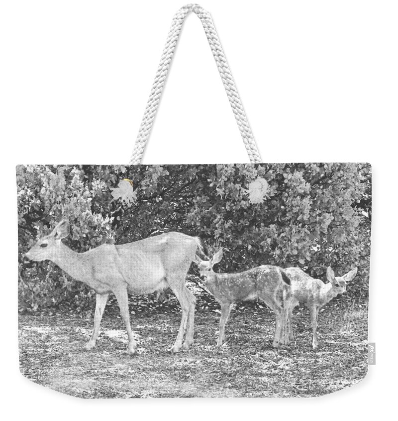  Deer Weekender Tote Bag featuring the photograph Doe With Twins Pencil Rendering by Frank Wilson