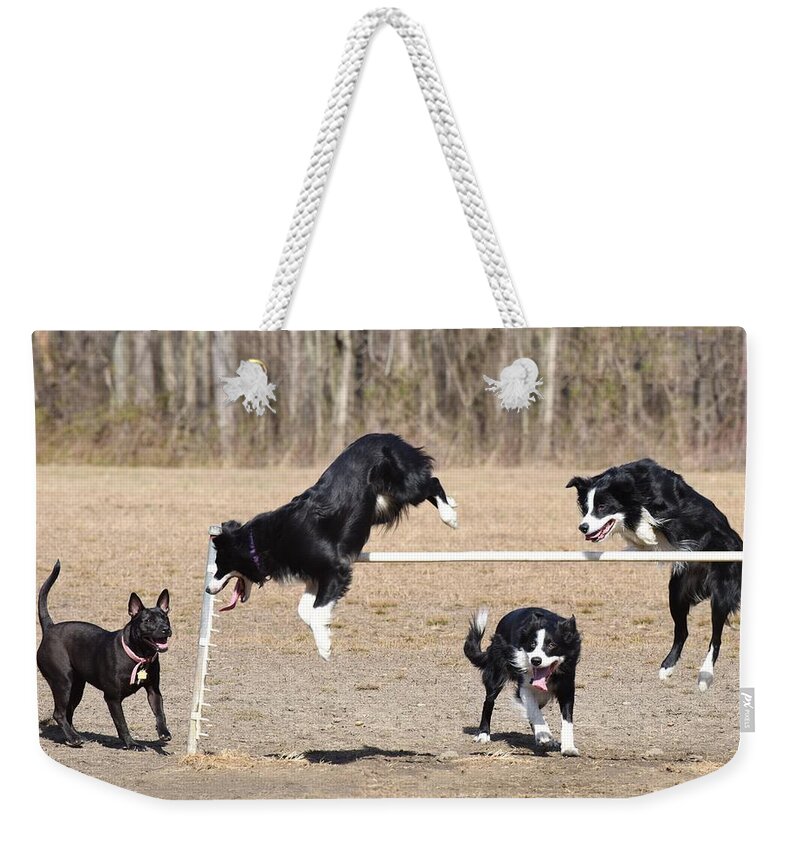 Border Collie Weekender Tote Bag featuring the photograph Dog 380 by Joyce StJames