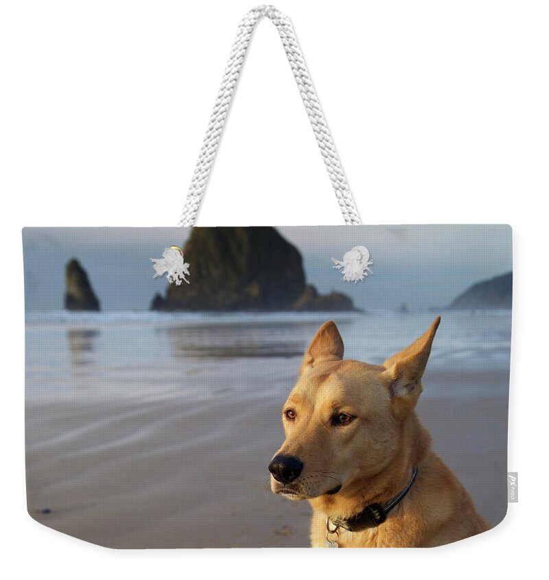 Dog Weekender Tote Bag featuring the photograph Dog Portrait @ Cannon Beach by Bruce Block