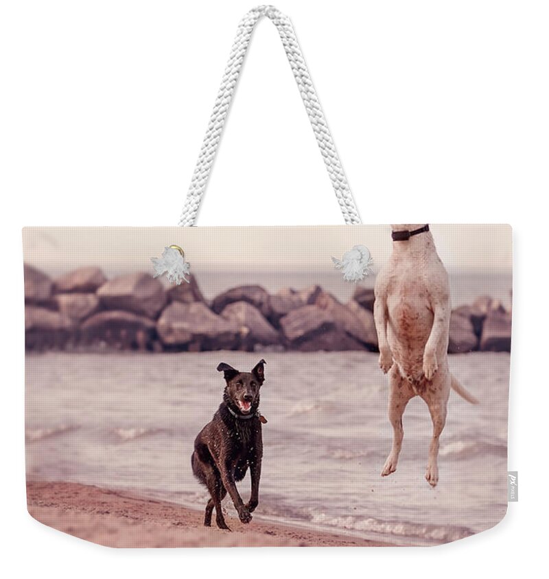 Action Weekender Tote Bag featuring the photograph Dog with frisbee by Peter Lakomy