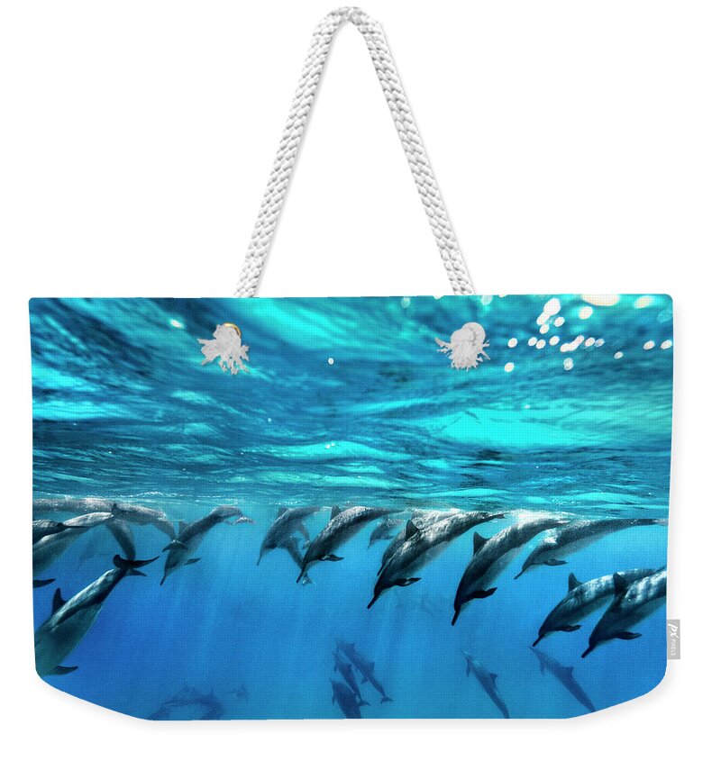 Sea Weekender Tote Bag featuring the photograph Dolphin Dive by Sean Davey