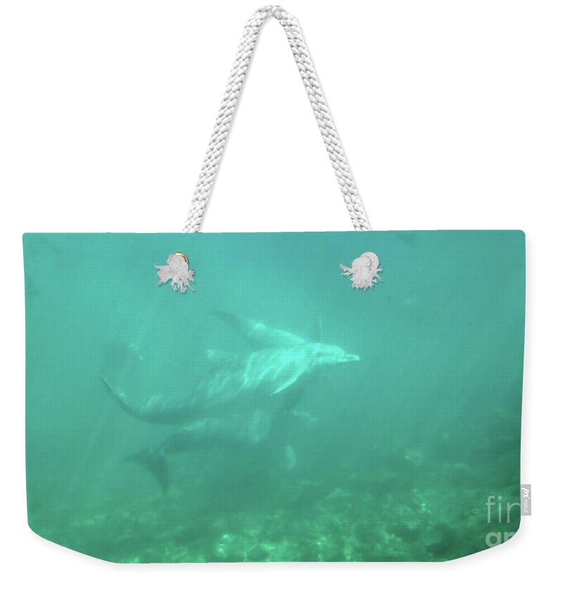 Dolphin Weekender Tote Bag featuring the photograph Dolphin swim by Francesca Mackenney